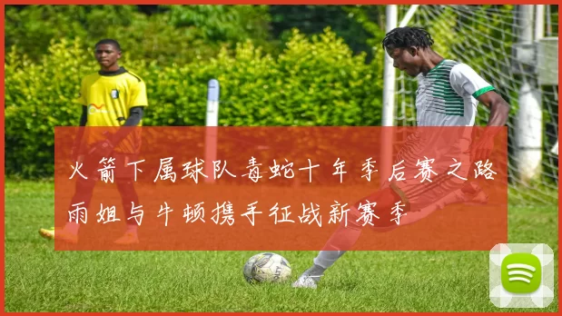 火箭下属球队毒蛇十年季后赛之路雨姐与牛顿携手征战新赛季